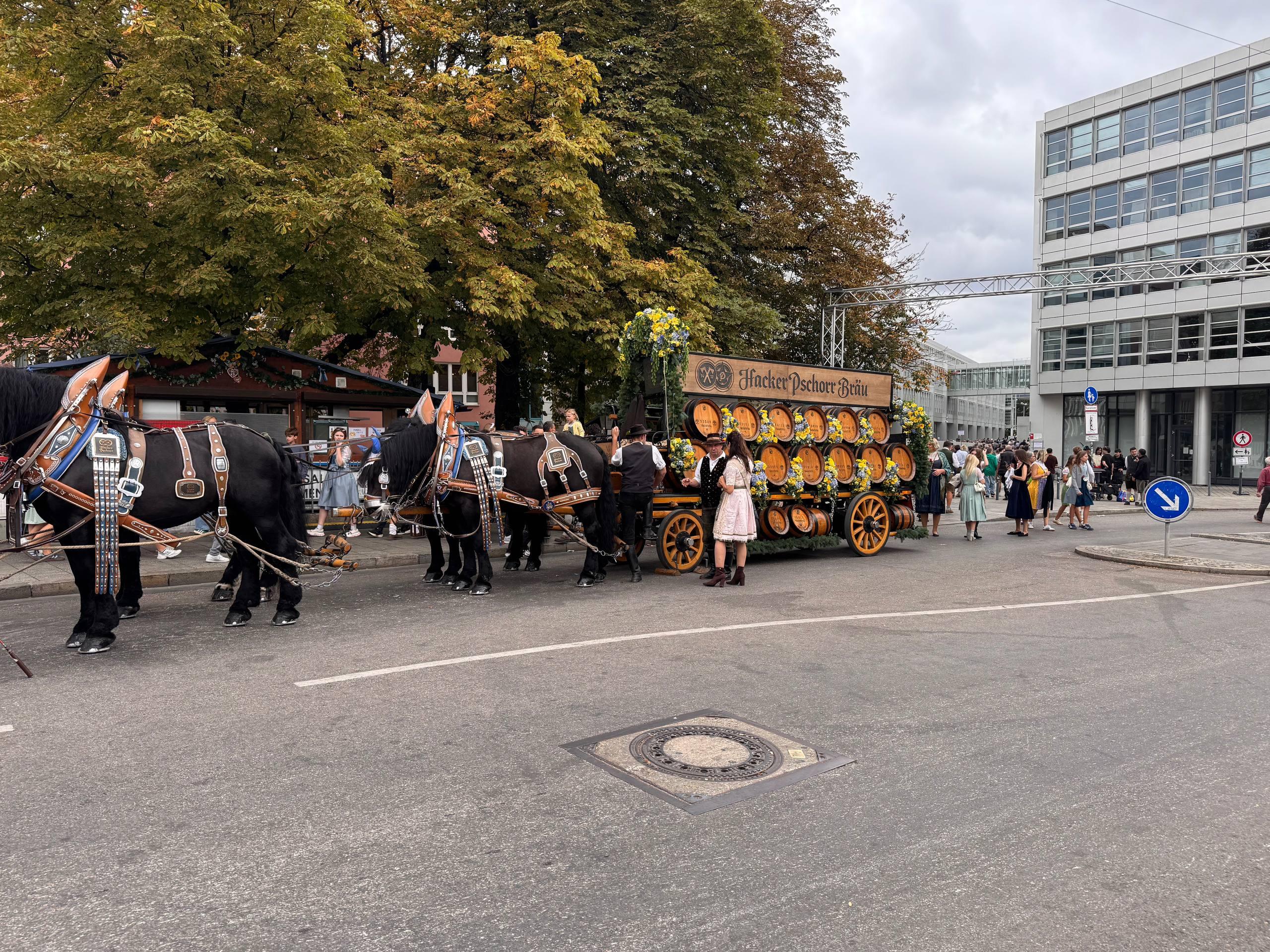 A traditional horse-drawn beer wagon loaded with barrels and flowers, from the Hacker-Pschorr brewery, parading through the Oktoberfest grounds