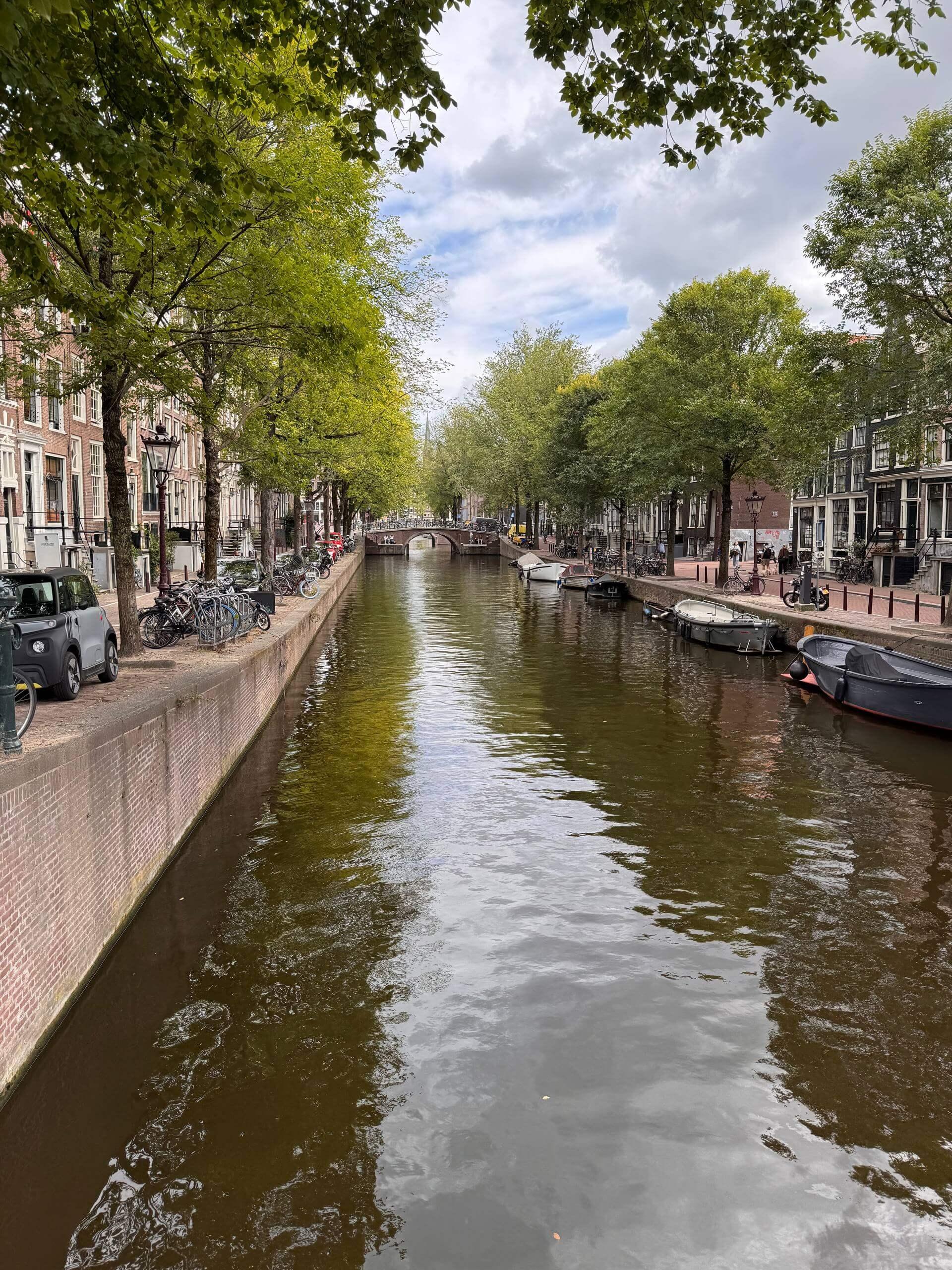 An Amsterdam canal lined with houseboats, bicycles, and trees on both banks